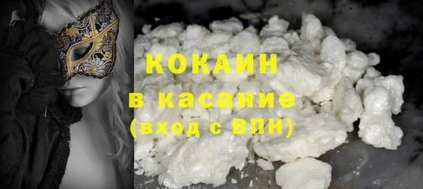 индика Анива