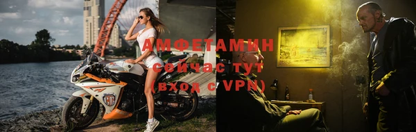гидра Козловка
