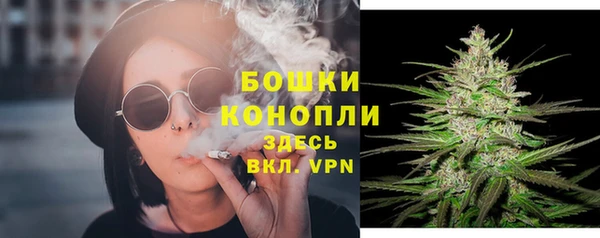прущие крисы Коряжма