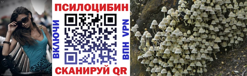 Купить  Волгореченск  Галлюциногенные грибы Magic Shrooms 